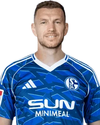 Edin Džeko — логотип