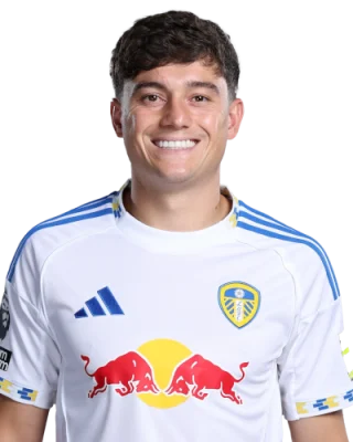 Daniel James — логотип