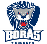 Boras