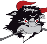 Rodovre Mighty Bulls