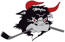 Rodovre Mighty Bulls
