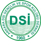 Ankara D.S.I.