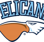 Pelicans Lahti
