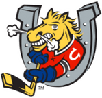 Barrie Colts