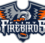 Flint Firebirds