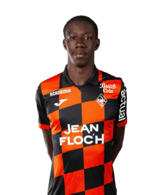 Bandiougou Fadiga — логотип