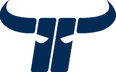 Kapfenberg Bulls