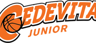KK Cedevita Junior