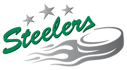 Bietigheim Steelers
