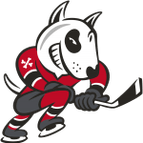 Niagara IceDogs