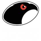 Glasgow Hawks