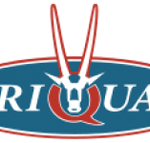Griquas