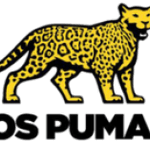 Pumas