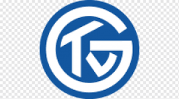 Grosswallstadt TV