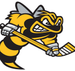 Sarnia Sting