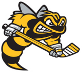 Sarnia Sting