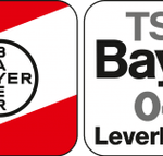 Bayer Leverkusen Women