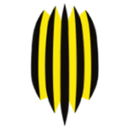 Rukh Vynnyky