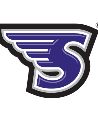 Stonehill Skyhawks