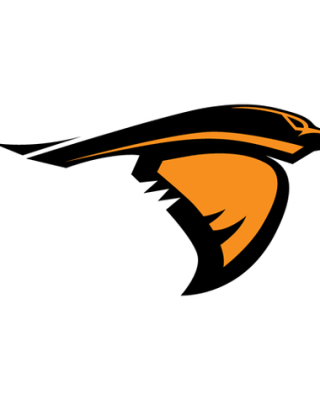 Anderson (IN) Ravens