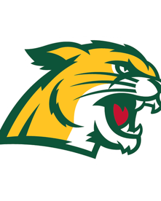 Northern Michigan Wildcats