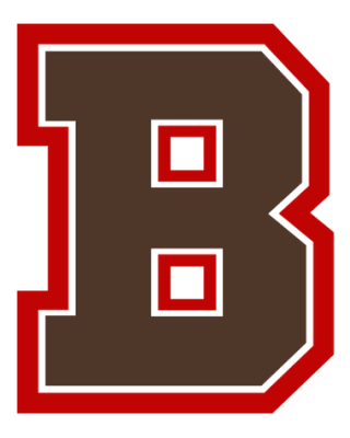 Brown Bears