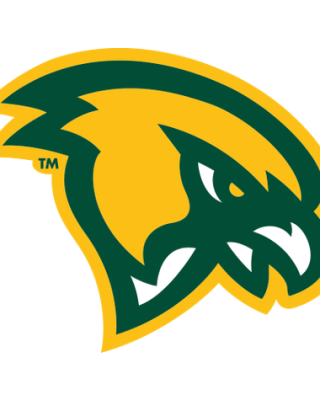 Fitchburg State Falcons