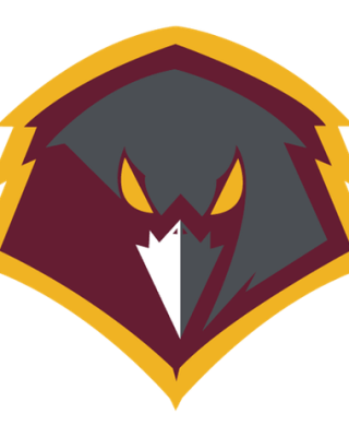 University Of Charleston (WV) Golden Eagles