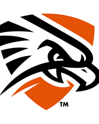UT Permian Basin Falcons