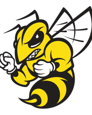 Randolph-Macon College Yellow Jackets
