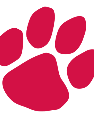 Frostburg State Bobcats