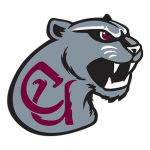 Concord Mountain Lions