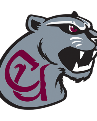 Concord Mountain Lions