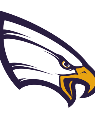 Univ. of Northwestern-St. Paul Eagles