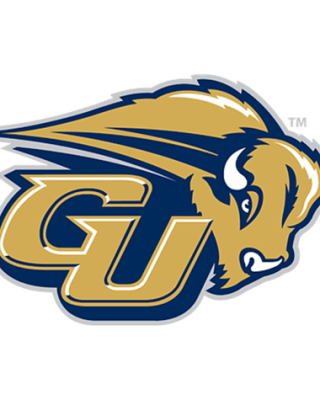 Gallaudet Bison