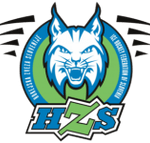 Hokejska liga