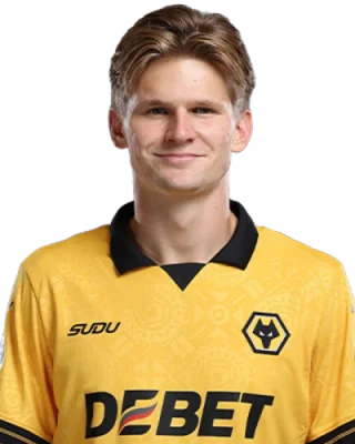 David Møller Wolfe — логотип