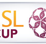 QSL Cup