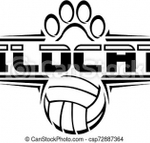 Wildcats Women