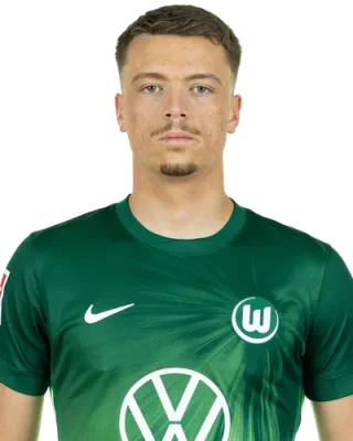 Dženan Pejčinović — логотип