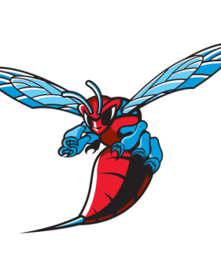 Delaware State Hornets