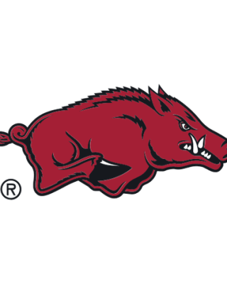 Arkansas Razorbacks