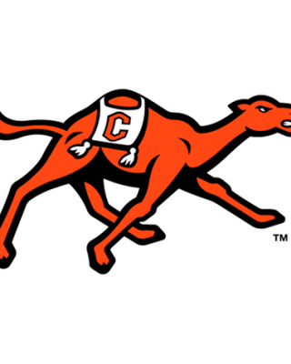 Campbell Fighting Camels
