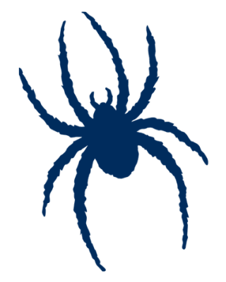 Richmond Spiders