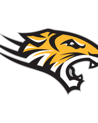 Towson Tigers