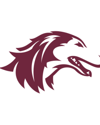 Southern Illinois Salukis