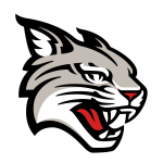 Davidson Wildcats