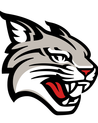 Davidson Wildcats