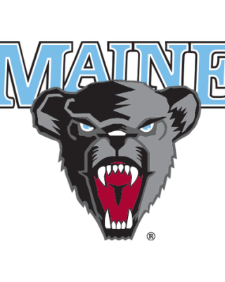 Maine Black Bears