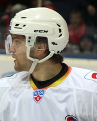 Dmitri Moiseyev — логотип